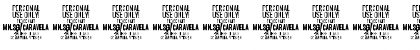 Download Caravela PERSONAL USE ONLY Regular Font Numeric Preview
