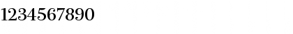 Download PB24TTP-Roman Regular Font Numeric Preview