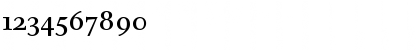 Download PB9TTP-Roman Regular Font Numeric Preview