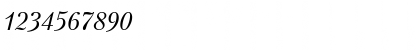 Download PetersburgCTT Italic Font Numeric Preview