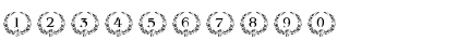 Download pf_another_wreath Regular Font Numeric Preview
