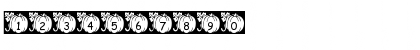 Download pf_pumpkin2 Regular Font Numeric Preview