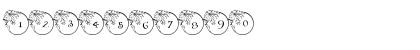 Download pf_xmas_flower1 Regular Font Numeric Preview