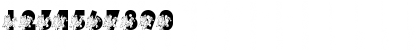 Download pf_xmas_turtle Regular Font Numeric Preview