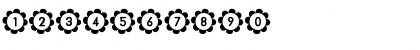 Download PU-RI-N (sRB) Regular Font Numeric Preview