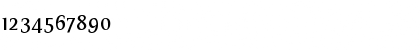 Download TarquiniusPlus Book Font Numeric Preview