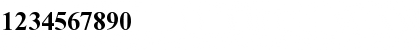 Download Times NR Cyr MT Bold Font Numeric Preview