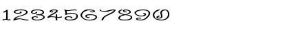 Download Curlmudgeon Wideside Regular Font Numeric Preview
