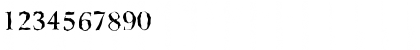 Download BelfastRandom-Medium Regular Font Numeric Preview