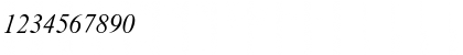 Download CyrillicEnglishTimesSSK Italic Font Numeric Preview