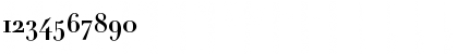 Download Didot Bold Font Numeric Preview