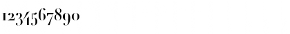Download Didot Bold Font Numeric Preview