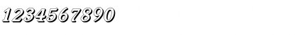 Download DonBeckerShadow BoldItalic Font Numeric Preview