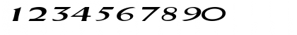 Download DriscollSSK BoldItalic Font Numeric Preview