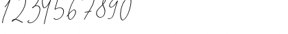 Download GoodWish Italic Font Numeric Preview