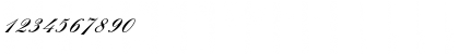 Download EnglischeSchJoiTDemBol Regular Font Numeric Preview