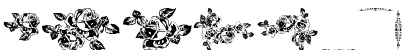 Download Eutemia Ornaments Regular Font Numeric Preview