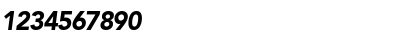 Download ExpoBlackSSK Italic Font Numeric Preview