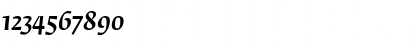 Download FedraSerifB Italic Font Numeric Preview