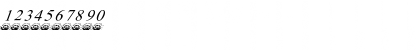 Download FerretsRTopsItalics Regular Font Numeric Preview