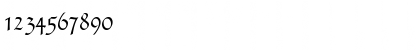 Download Fiorne Regular Font Numeric Preview