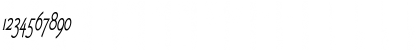 Download Fletch Thin Italic Font Numeric Preview