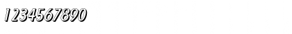 Download FloridaShadow Italic Font Numeric Preview