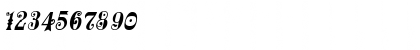 Download Frilly Italic Font Numeric Preview