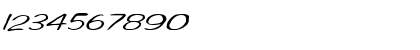 Download FZ HAND 2 MANGLED ITALIC Normal Font Numeric Preview