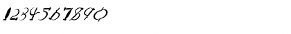 Download FZ UNIQUE 28 MANGLED ITALIC Normal Font Numeric Preview