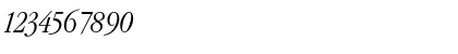 Download Garamond Condensed Light Italic Font Numeric Preview
