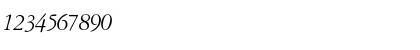 Download GaramondRepriseSSK Italic Font Numeric Preview