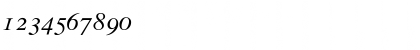 Download GrecoOSSSK Italic Font Numeric Preview