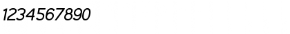 Download IdentikalSans RegularItalic Font Numeric Preview