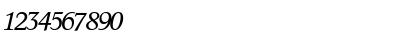 Download InformaticsSSK Italic Font Numeric Preview