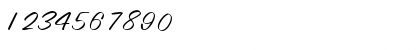 Download Lesline Regular Font Numeric Preview