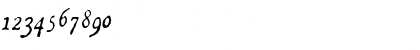 Download LTCompendio Regular Italic Font Numeric Preview