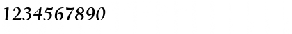 Download BergmannOldStyle BoldItalic Font Numeric Preview