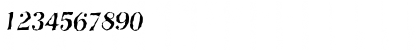Download NashvilleRandom Italic Font Numeric Preview