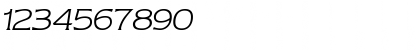 Download Newtext Light Italic Font Numeric Preview