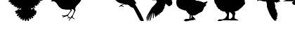 Download Birds of a Feather Regular Font Numeric Preview
