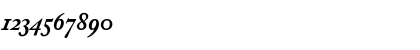Download AdobeCaslonOldstyleFigures BoldItalic Font Numeric Preview