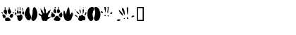 Download AnimalTracks Regular Font Numeric Preview