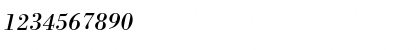 Download Bodoni ICG Italic Font Numeric Preview