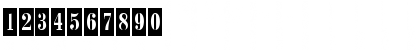 Download BodoniCameoC Regular Font Numeric Preview