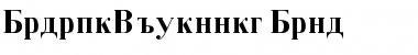 Download BodoniCyrillic Bold Font Title Preview