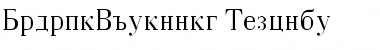 Download BodoniCyrillic Regular Font Title Preview