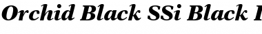 Download Orchid Black SSi Black Italic Font Title Preview