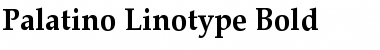 Download Palatino Linotype Bold Font Title Preview
