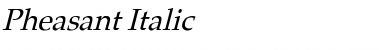 Download Pheasant Italic Font Title Preview